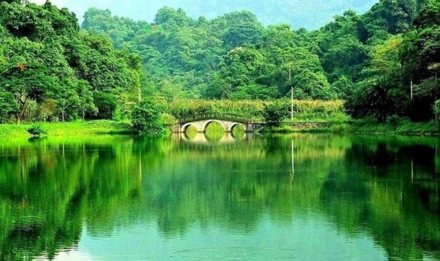 Vườn quốc gia Cúc Phương: Rừng nguyên sinh đẹp nhất Việt Nam
